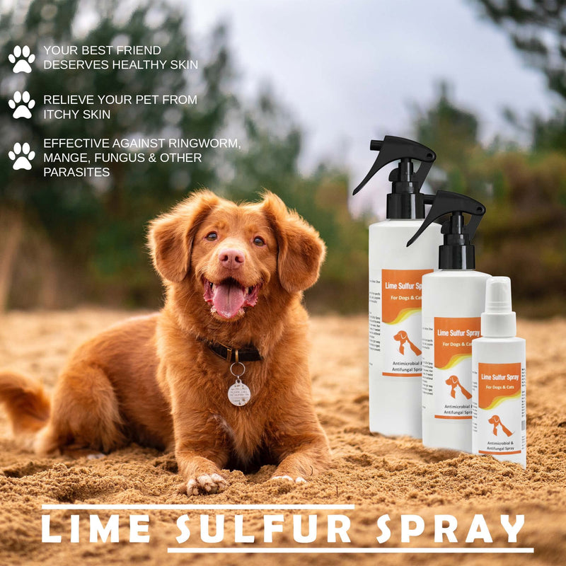 Classic's Lime Sulfur Spray Pet Care for Dry and Itchy Skin - Spotcare and Safe Solution for Dog, Cat, Puppy, Kitten, Horse (8 oz)