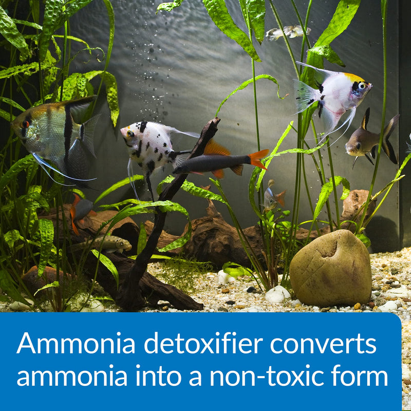 API AMMO-LOCK Freshwater and Saltwater Aquarium Ammonia Detoxifier 8-Ounce Bottle (45D)