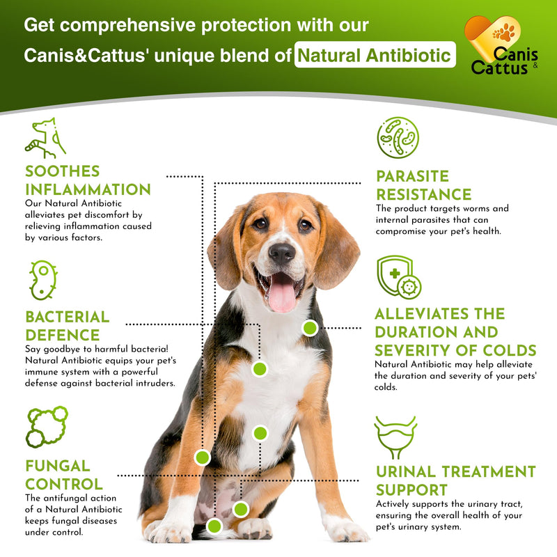 Pet Antibiotic | Dog Cough | Natural Antibiotics for Dogs | Antibiotic for Cats | Kennel Cough | Cat Cough | Antibiotics for Dogs | Bundle 2 Pack x 2 Oz - PawsPlanet Australia
