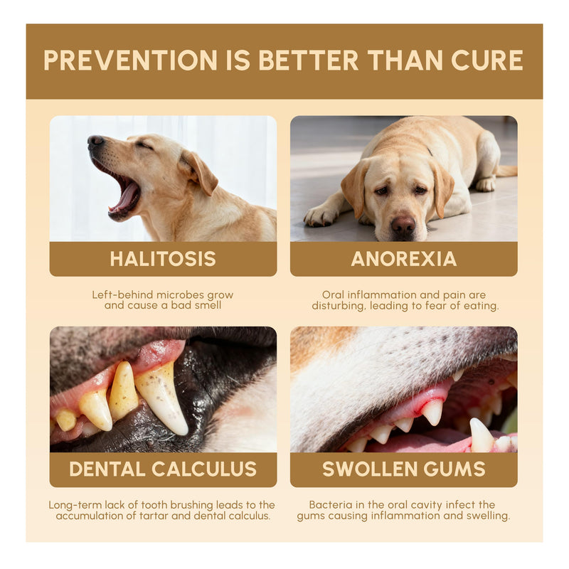 Advanced Probiotic Pet Dental Water Additive, Bio-Active Formula to Fight Oral Bacteria at The Source, Freshens Breath, Reduces Plaque & Tartar, Just Add to Water, Vet Recommended, 9.8 oz
