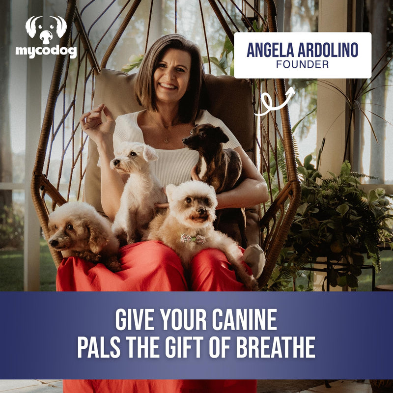MycoDog Breathe Mushroom Extract & Adaptogen Tincture for Canines - Mushroom & Ashwagandha Supplements for Dogs with Breathing Challenges - Reishi Mushroom, Chaga, Cordyceps Mushroom & Artist Conk - PawsPlanet Australia