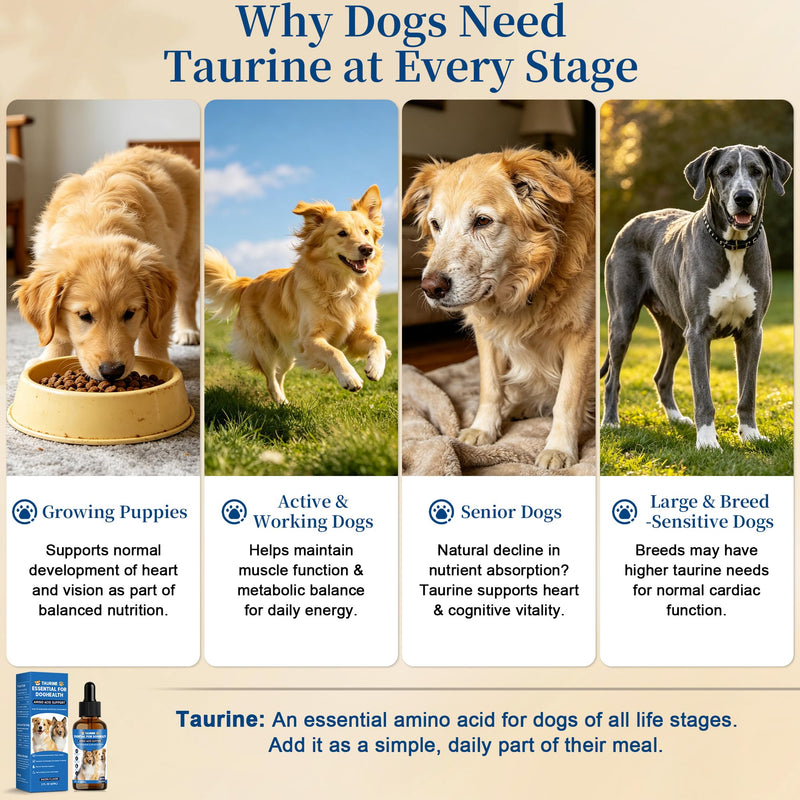 Liquid Taurine Supplement for Dogs - Bacon Flavor Dog Heart & Circulation Support with Dropper - Essential Amino Acid for Daily Nutritional Balance - 60ml
