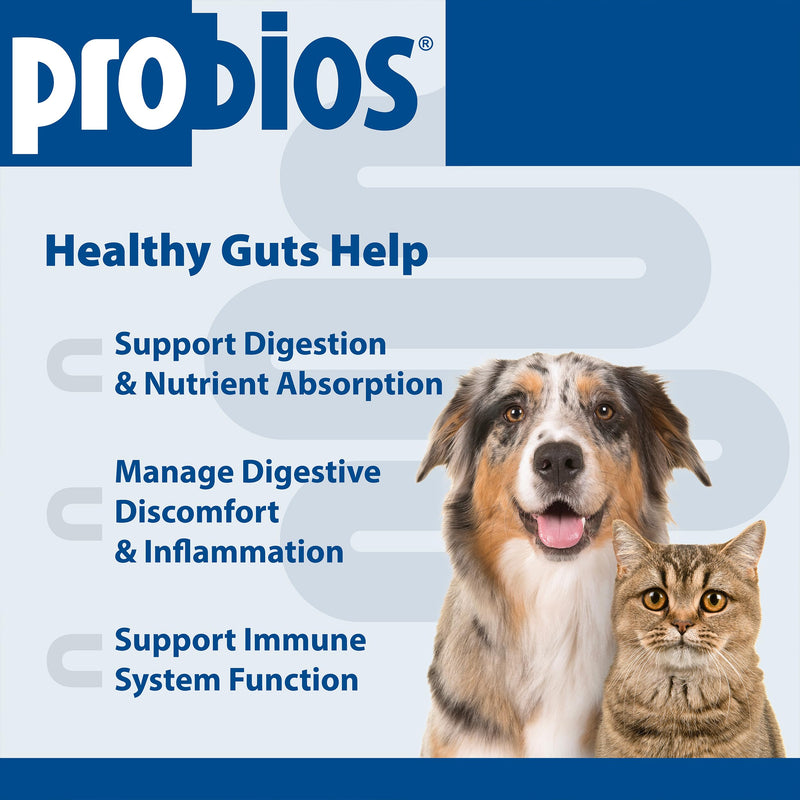 Probios Probiocin Oral Probiotic Gel for Dogs and Cats, Digestive and Immune Support Supplement, Easy Syringe Administration, Suitable for Newborns to Senior Pets, 15g Tube (Pack of 2) 15 g (Pack of 2)
