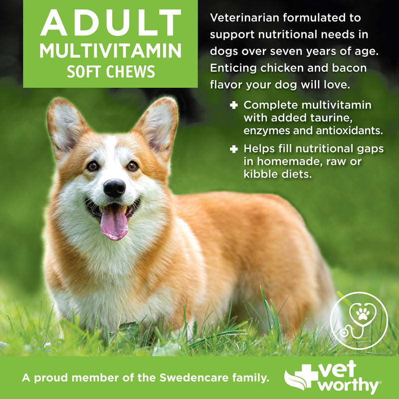 Vet Worthy Adult Multi Soft Chews - Daily Multivitamin for Dogs - Supports Immunity, Metabolism, & Maintenance - Dog Multivitamins Chewable for Skin and Coat Health - Multi Vitamins for Dogs - 60 Ct