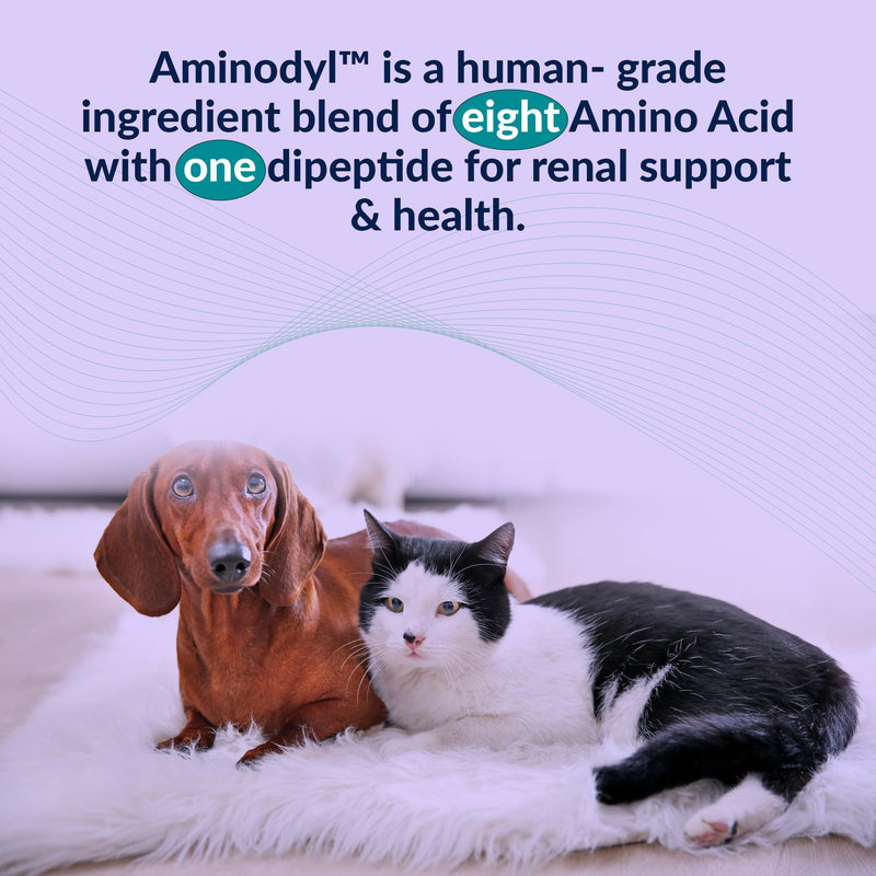 Aminodyl™ Kidney Support Supplement 400mg for Cats & Small Dogs - Supports Natural Kidney Function with Amino Vastly Promotes Health, Wellbeing & Vitality of Kidneys - 120 Sprinkle Capsules. U.S.A Cats & Small Dogs <20lbs (120 Caps) 400 mg