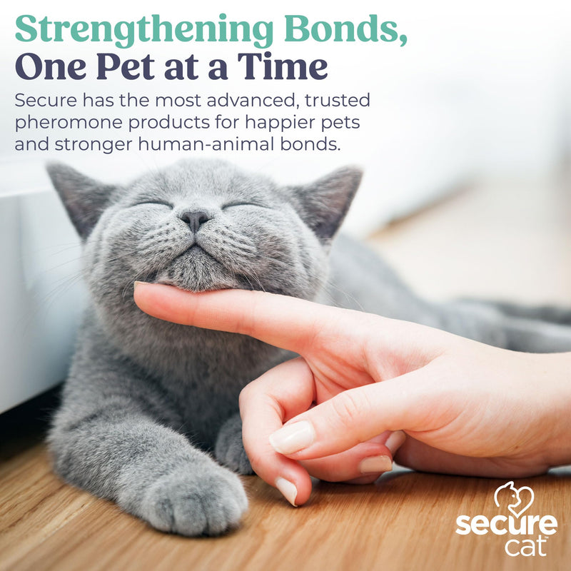 SIGNS SecureCat Pheromone Home Stick Diffuser Refill, Provides 30 More Days of Natural Support for an Environment of Calm and Well-Being, Helping Relieve Any Feeling of Anxiety and Stress Cat