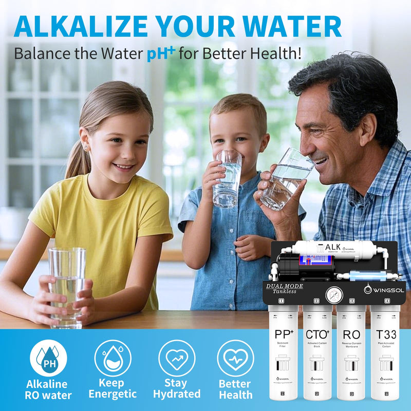 WINGSOL Replacement Filter Cartridge for RO Water Filter System Compatibel with: WS-QCJ-6RO (F-T33)(F-ALK)(F-Dual), RO WS-QCJRF-RO