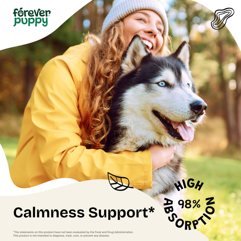 Ashwagandha Drops for Dogs - Composure & Relaxation Supplement w/Ashwagandha Root - Liquid Alternative to Dog Calming Chews - Dog Food Supplements for Calming Vibes - 2 oz