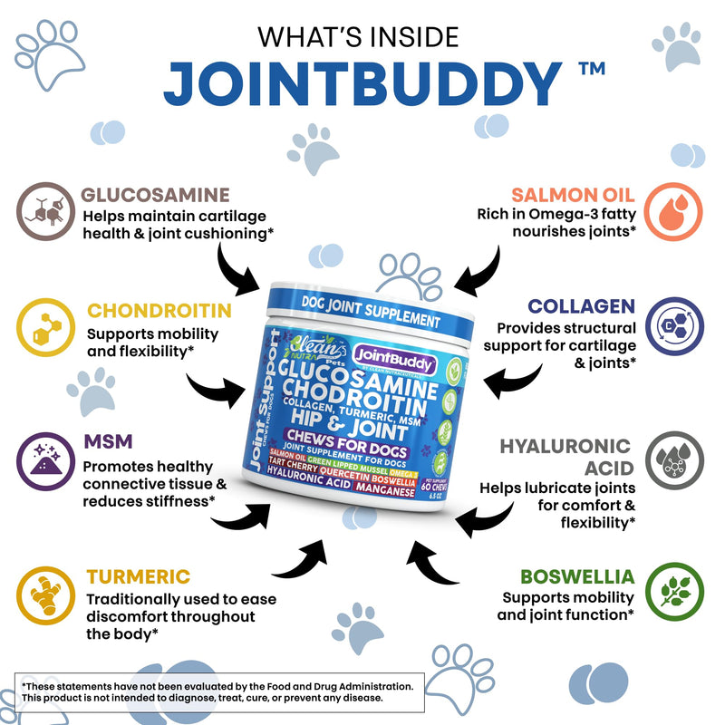 JointBuddy Glucosamine Chondroitin Joint Supplement for Dogs Salmon Oil MSM Tart Cherry Omega 3 6 9 Fish Oil Hyaluronic Acid Supplements & Collagen for Dogs 60 Chews Beef Flavor by Clean Nutra Pets