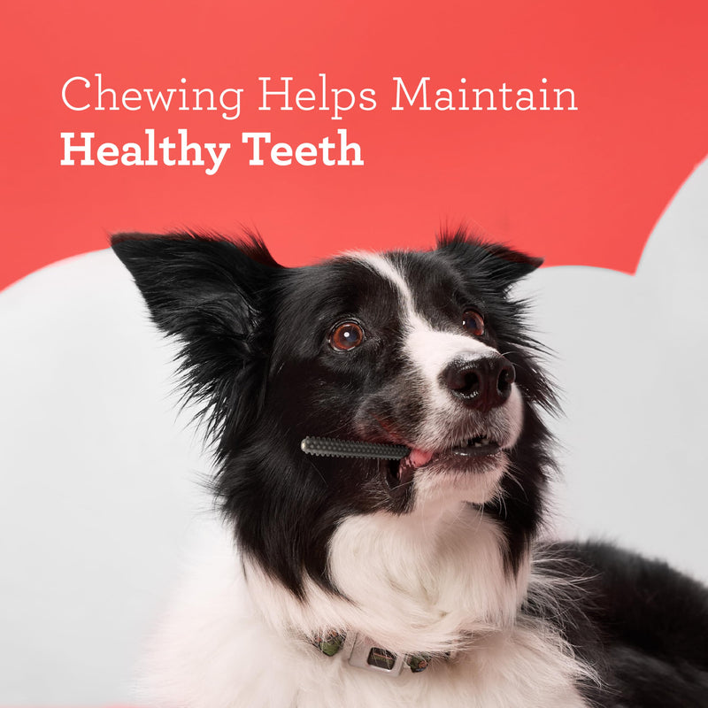 DreamBone Triple Action Dental Sticks Charcoal, 18 Count, Rawhide-Free Chews for Small and Medium Sized Dogs Freshens Breath (Pack of 2) 10 Ounce (Pack of 2)