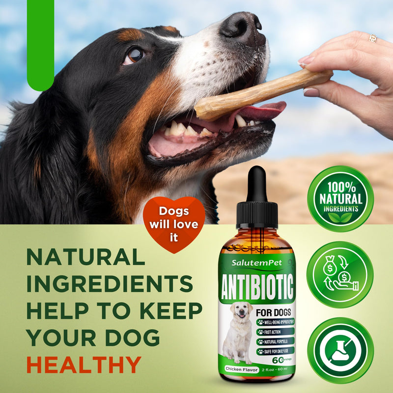 Natural Antibiotics for Dogs | Dog Antibiotics | Supports Dog Allergy Relief | Dog Itch Relief | Dog Allergy Support | Dog Multivitamin | Pet Antibiotics | Dog Antibiotics | 2 Oz Chicken