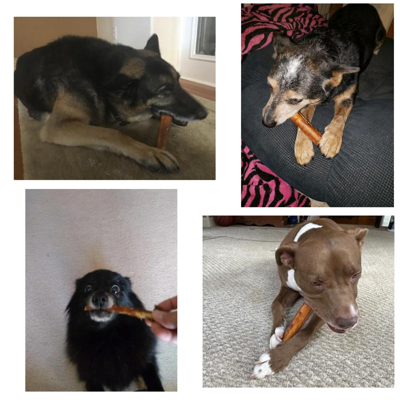 Rawhide-Free Peanut Butter Retriever Sticks for Dogs 10 Count 3.5 oz Highly Digestible Dental Chews Safe Rawhide Alternative Long Lasting Training Treats