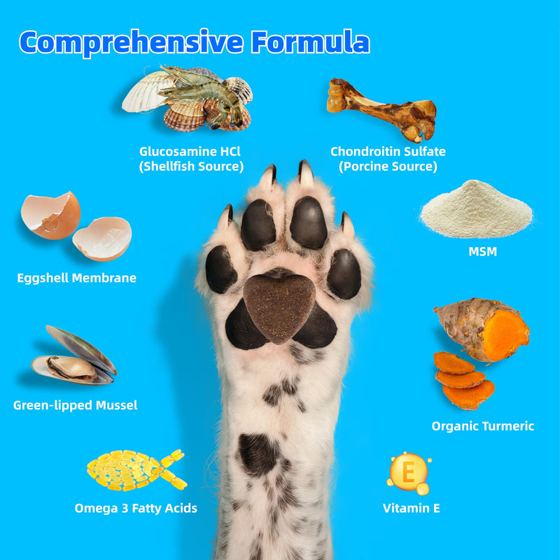 Advanced Hip & Joint Supplement for Dogs - 120 Soft Chews - Glucosamine, MSM, Chondroitin, Natural Anti-Inflammatory Formula for Optimal Mobility Support - PawsPlanet Australia