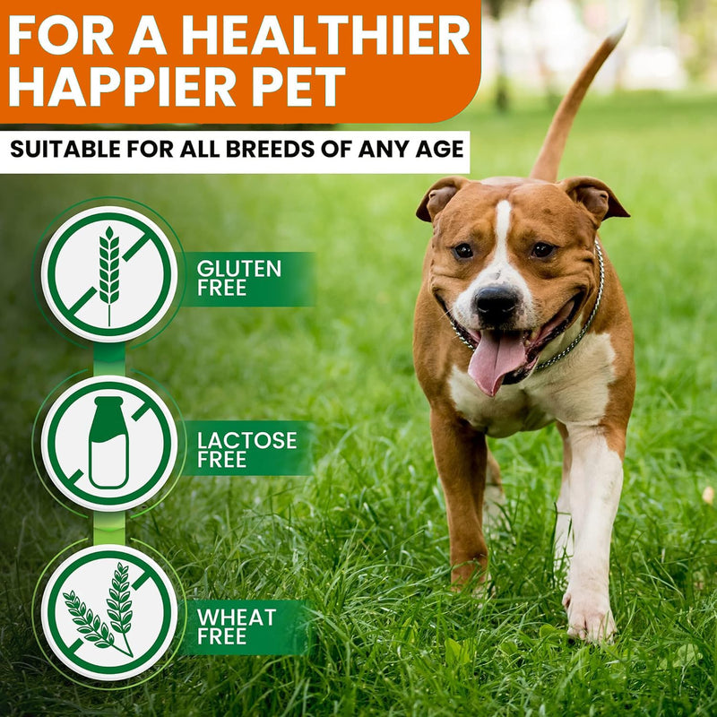 Turmeric for Dogs – 180 Chewable Tablets – Hip and Joint Support with Curcumin & Piperine – Joint Supplement, Anti Inflammatory & Mobility Support, Allergy & Itch Relief - Duck Flavor with Salmon Oil