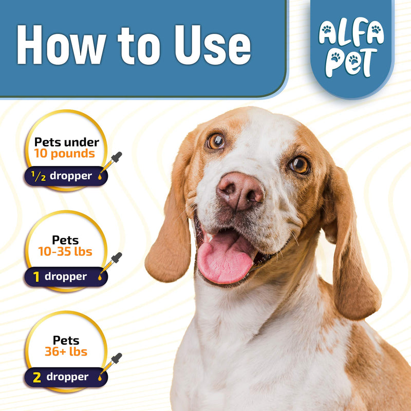 Dog Cough - Kennel Cough - Dog Allergy Relief - Supplements For Dogs & Cats Health - Allergy Relief Immune Supplement for Dogs - for Dry, Wet & Barkly Pet Cough - Suitable For All Sizes - PawsPlanet Australia