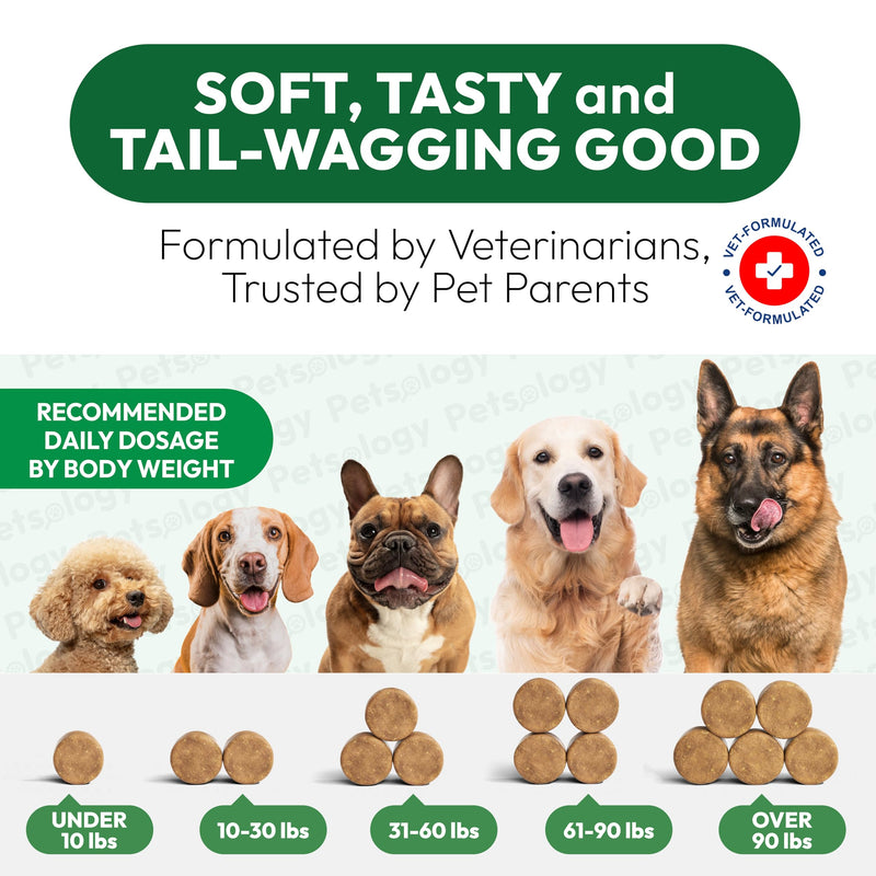 Hemp Hip and Joint Supplement for Dogs - Glucosamine for Dogs - 170 Mobility Support Chews - Advanced Joint Pain Relief Treats with Chondroitin, MSM, Turmeric - Large & Small Breeds - Made in USA 170 Chews