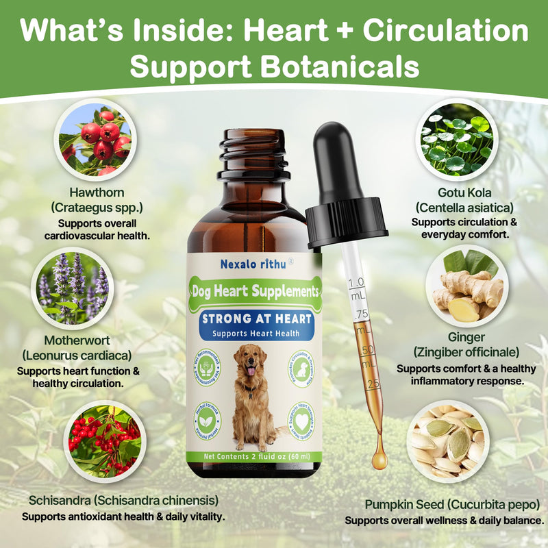 Heartw0rm Prevention for Dogs, Fast-Absorbing Liquid with Hawthorn & Motherwort, Supports Heart Function & Smooth Circulation, Helps Maintain Daily Vitality,Young Heart for Dogs, 2 fl oz/60 mL