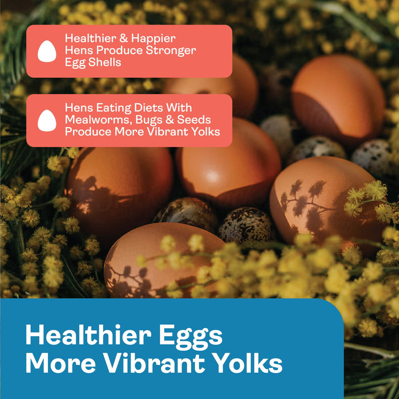 Hippy Chick Egg Booster for Chickens – Omega-3 Vitamin Supplement for Laying Hens – Egg & Feather Health Support – Natural Poultry Treat and Layer Feed Additive 1.25 lbs