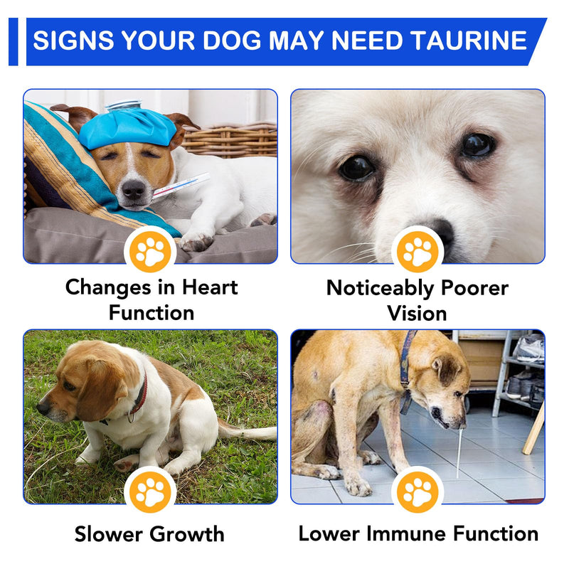 Taurine for Dogs, Taurine Liquid Supplement for Dogs, Daily Amino Acid Support for Heart Health, Vision & Immune Support, 2 FL OZ