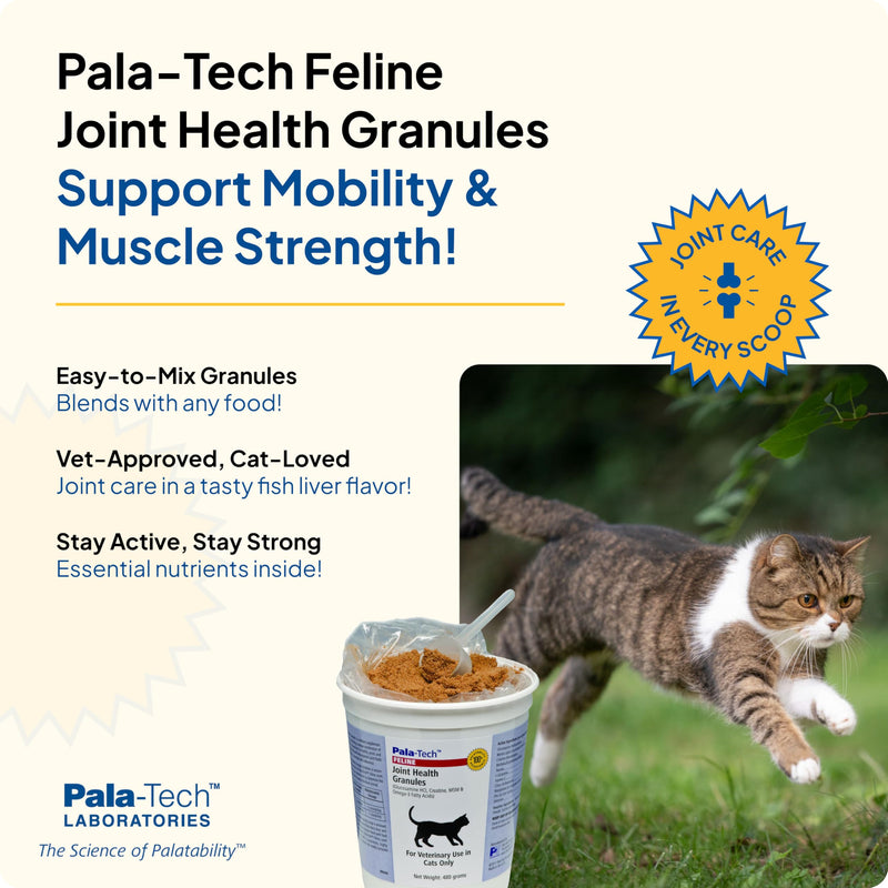 PalaTech Feline Joint Health Granules (1lb) – Glucosamine for Cats, MSM, Creatine & Omega – Cat Joint Supplement Supports Healthy Joints & Muscles in Feline – Easy to Mix with Food