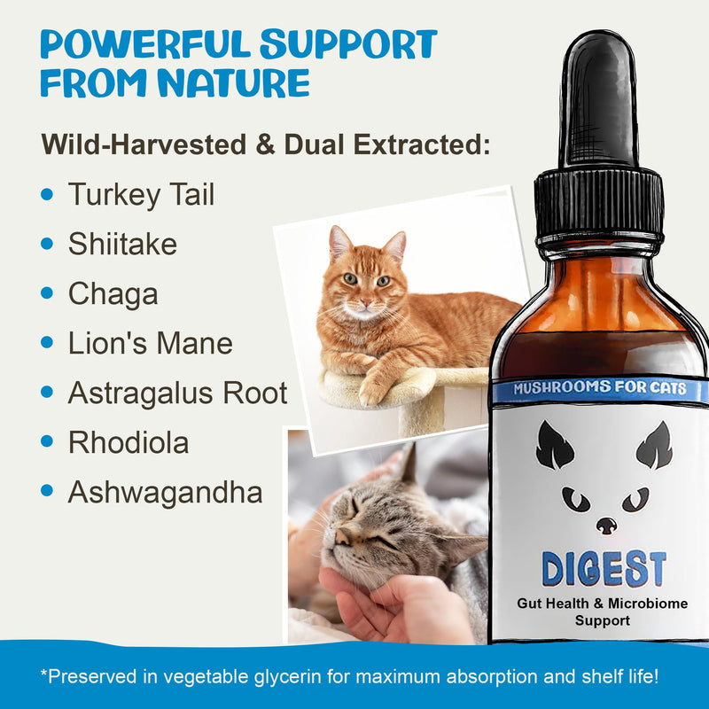 MycoCat Digest - Mushroom Extract & Adaptogen Tincture Cat Supplement - Cat Digestive Support Blend - Roots, Herbs, & Mushroom Extracts Including Chaga, Shiitake, & Turkey Tail