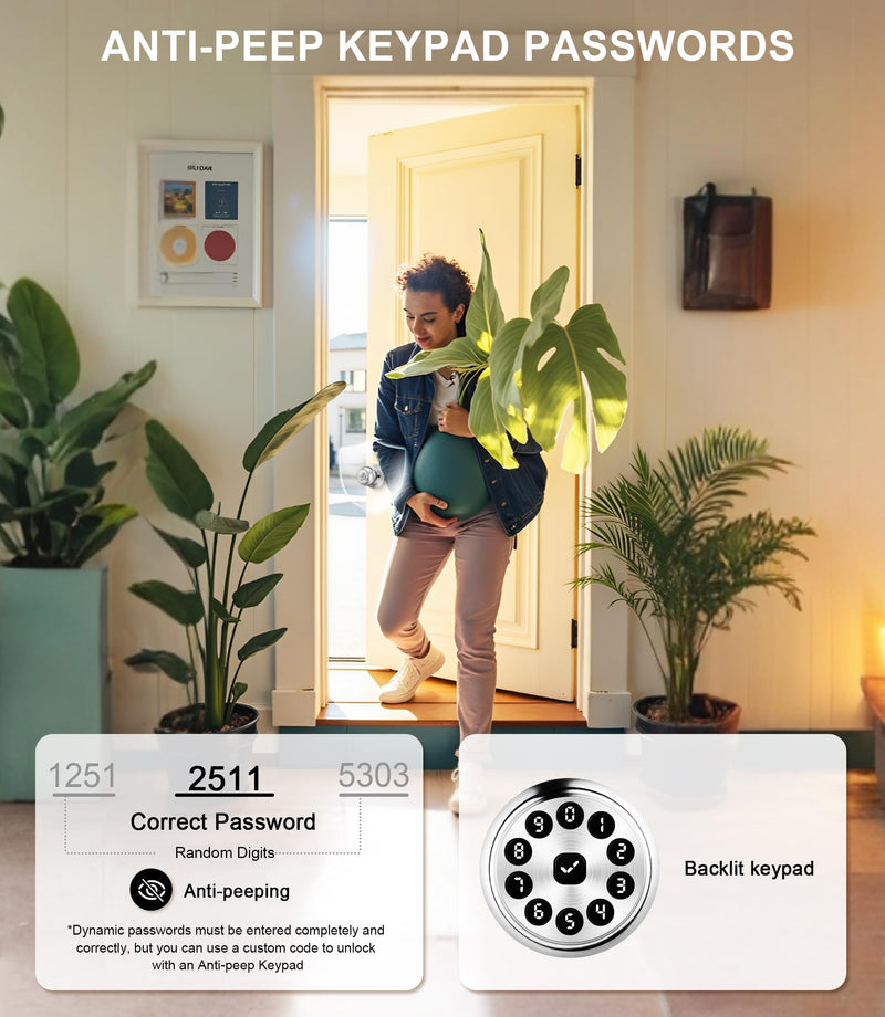 Smart Keypad Door Lock with Handle, Smart Door knobs with Lock, Auto Door Lock with Code and App, Keyless Entry Door Knob for Bedroom, Front Door, Smart Home, Apartment, Local Data Storage Silver