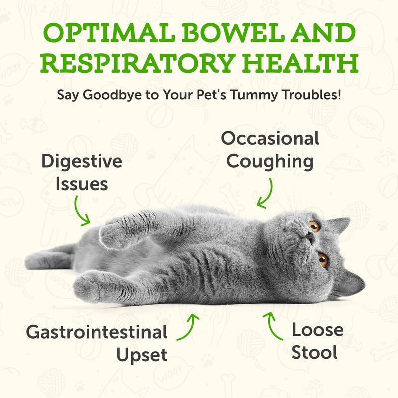 Animal Essentials Slippery Elm - Herbal Extract for Dogs and Cats, Promotes Healthy Digestion, Bowel Function, Certified Organic Herbs, All Natural, Respiratory Health, Liquid Formula - 1 Fl Oz 1 fl oz (30ml)