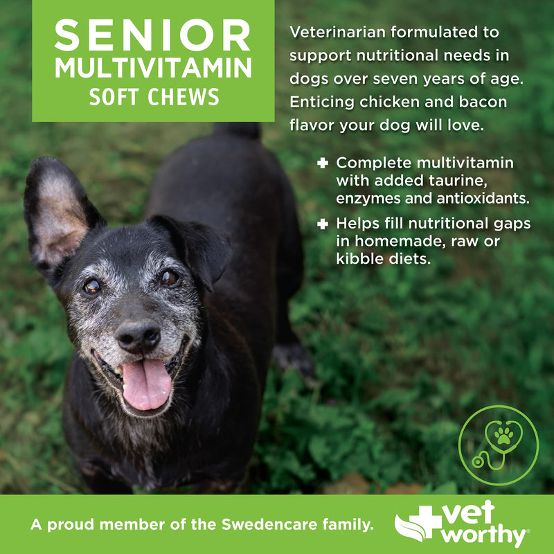 Vet Worthy Senior Multi Soft Chews - Daily Multivitamin for Dogs - Supports Longevity, Mobility & Vitality - Senior Dog Multivitamins Chewable for Skin and Coat Health - Multi Vitamins for Dogs -60 Ct
