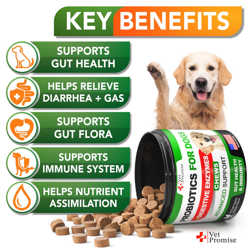 Probiotics for Dogs - Dog Probiotics and Digestive Enzymes for Gut Health, Itchy Skin, Allergies, Immunity, Yeast Balance - Prebiotics - Reduce Diarrhea, Gas - 120 Probiotic Chews Supplement for Dogs 120 Chews