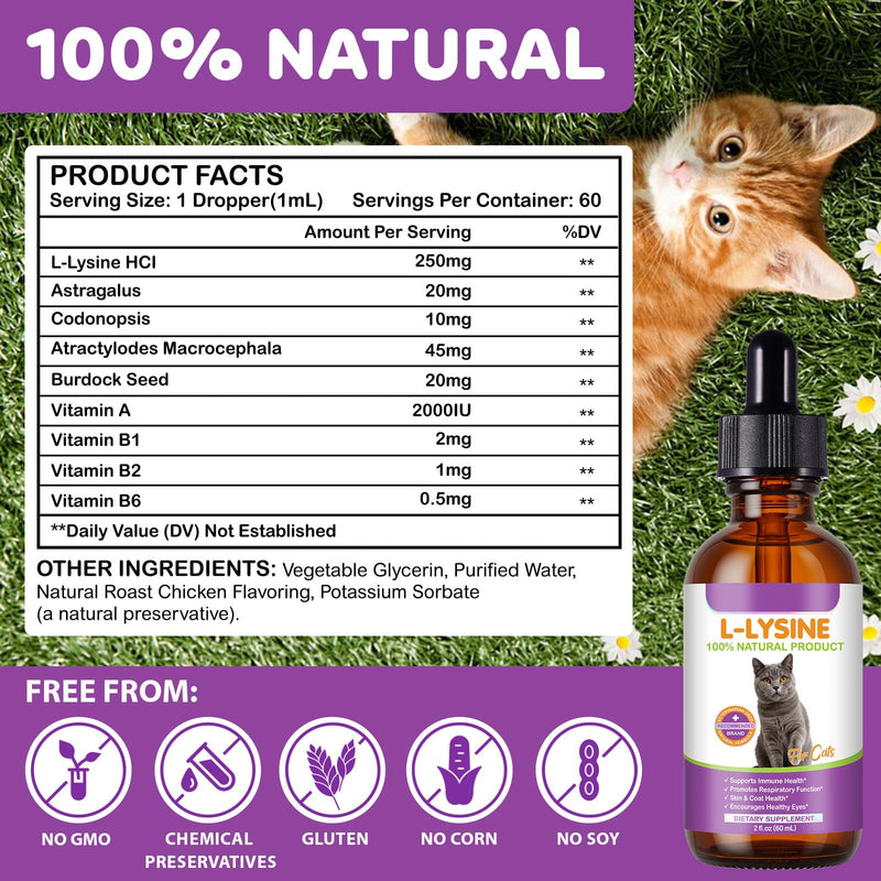 Cat L-Lysine Supplement for Immune & Respiratory Support 60ml, Support for Sneezing, Runny Nose & Eye Function, L-lysine Drops Roast Chicken Flavor. Pack of 1