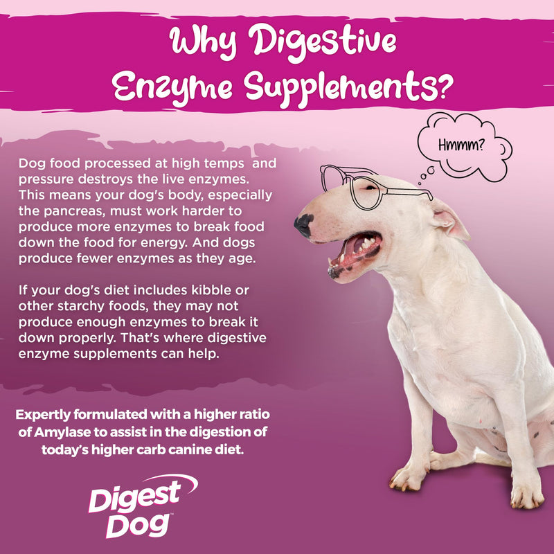 Vital Planet - Digest Dog Digestive Pancreatic Enzyme Blend with Pumpkin and Fennel to Support The Pancreas and Healthy Digestion with Pancreatin, Beef Flavored Powder for Dogs - 111 Grams 30 Scoops - PawsPlanet Australia