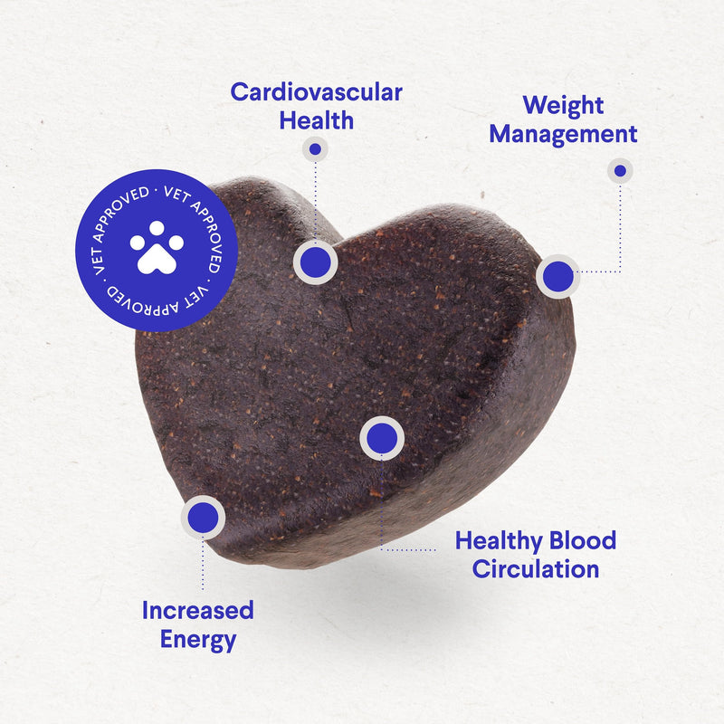 Cardio Support for Dogs – Cardiovascular Chews Heart Health, Circulation, Energy & Weight Management - with L-Carnitine, Hawthorn Berry, Coenzyme Q10 & Taurine for Dogs – 90 Soft Chews - PawsPlanet Australia
