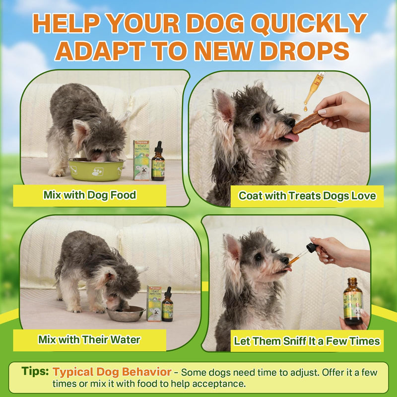 puyrzoe Natural Yeast Infection Treatment for Dogs, Itchy Ears, Skin, Paws & Allergy Relief, Yeast Treatment for Dogs, Supports Gut & Immune Health, Reduces Itching, Irritation & Inflammation, 60ml Yeast Drops-1 PC