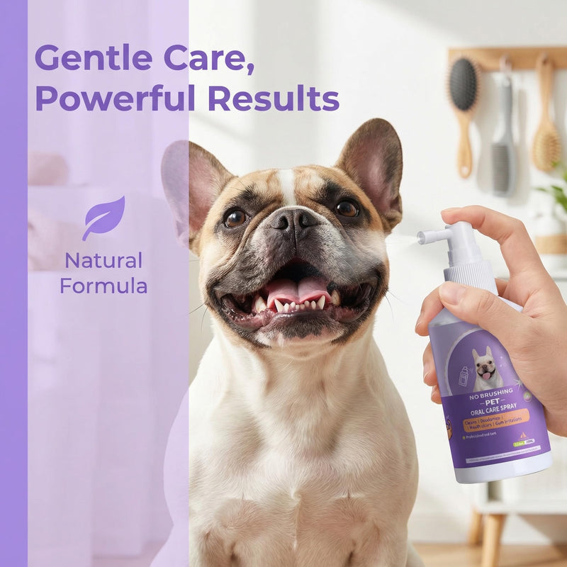 JoanofArc Dog Dental Care Spray, Oral Care Spray for Dogs, Dental Spray for Dogs, Breath Freshener & Teeth Cleaning Spray, Support Healthy Gums, Help Reduce Plaque & Tartar, No Brushing, 1.76 Fl Oz