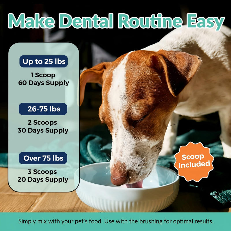 Dog Multivitamin Powder & Dog Dental Powder, Chicken Flavor