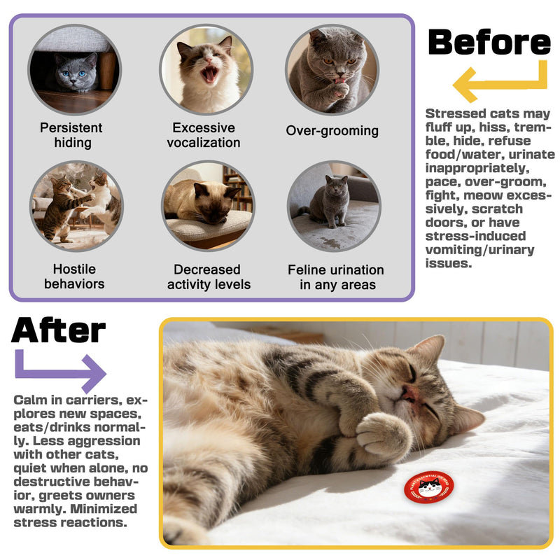 xcivi 12 PCS Cat Calming Diffuser Patch, Portable Cat Calming Patch for Kitty Sift Disposable Cat Litter Box, Cat Anxiety Relief Stress Reduction, Cat Calming Pheromones, for Travel, Car & Home Use