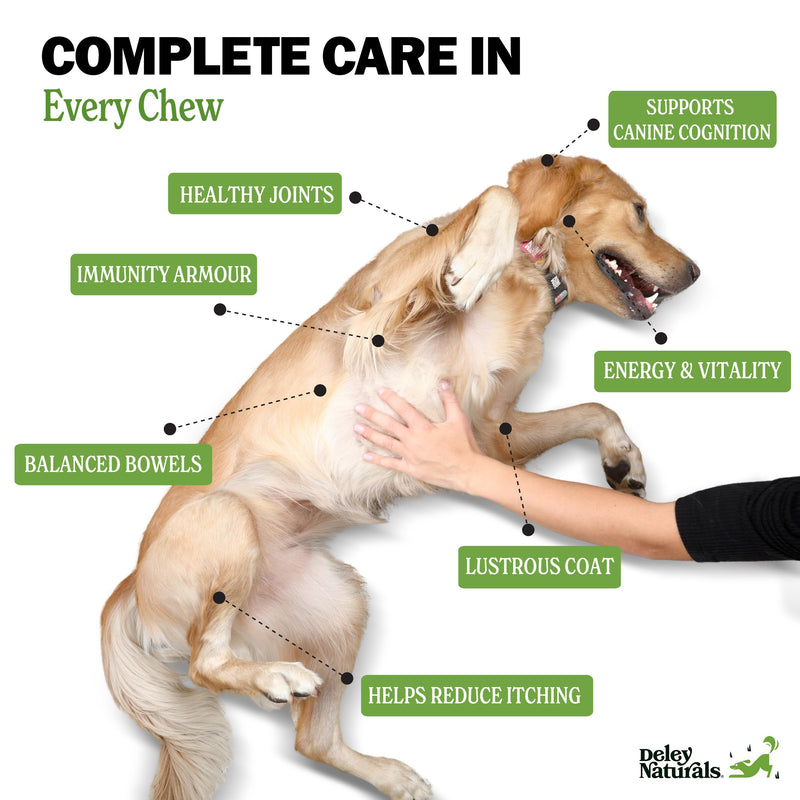 Deley Naturals Dog Multivitamins Chewable - 15 in 1 Dog Vitamins and Supplements for Immune System, Skin, Joint Support & Digestion - Dog Multivitamin for All Ages - Dog Vitamins Made in The USA - PawsPlanet Australia