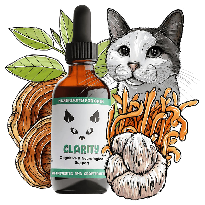 MycoCat Clarity - Cat Calming & Cognitive Support Supplement - Brain Health, & Senior Feline Wellness - Memory & Focus with Functional Mushrooms & Adaptogens