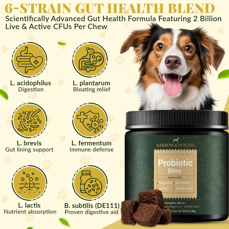 Barrow & Hound Probiotic Bites for Dogs – 6-Strain Probiotics & Pumpkin for Gut Health & Immune Support – 120 Soft Chews – Pumpkin Flavor