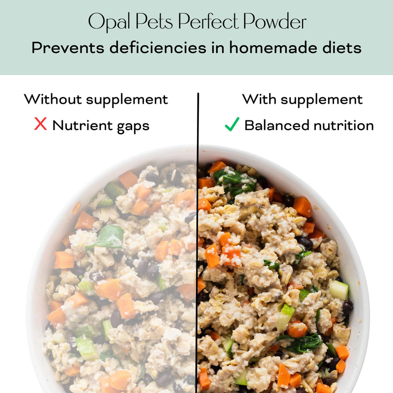 Perfect Powder – Multivitamin for Homemade Dog Food – Vet-Formulated, Whole Food Ingredients – Vegan, Non-GMO – Vitamins, Minerals, Omega-3s – 11 oz