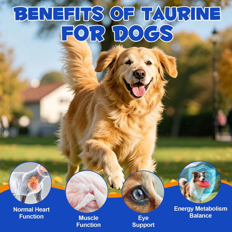 Taurine for Dogs,Taurine Supplement for Dogs,Taurine Supplement Powder for Dogs,Doggy Supps Taurine Powder,Easy-to-Mix Daily Supplement,Immune Support,Advanced Heart,Vision&Cognitive Support