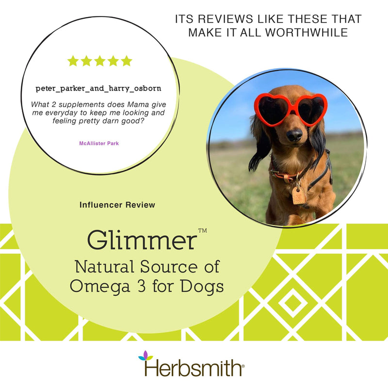 Herbsmith Glimmer - Dog Healthy Skin and Coat + Dog Treatment for Dry Itchy Skin - Omega-3 Supplement for Dogs - 60ct Small Chews 60Ct Small Chews (for dogs under 30Lbs) - PawsPlanet Australia