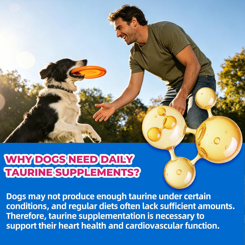 Just Try Taurine for Dog Bites 23-in-1 Multivitamin Chondroitin Sulfate for Joint Health, Omega-3 Skin Support Dog Vitamins Supplements-10.58oz