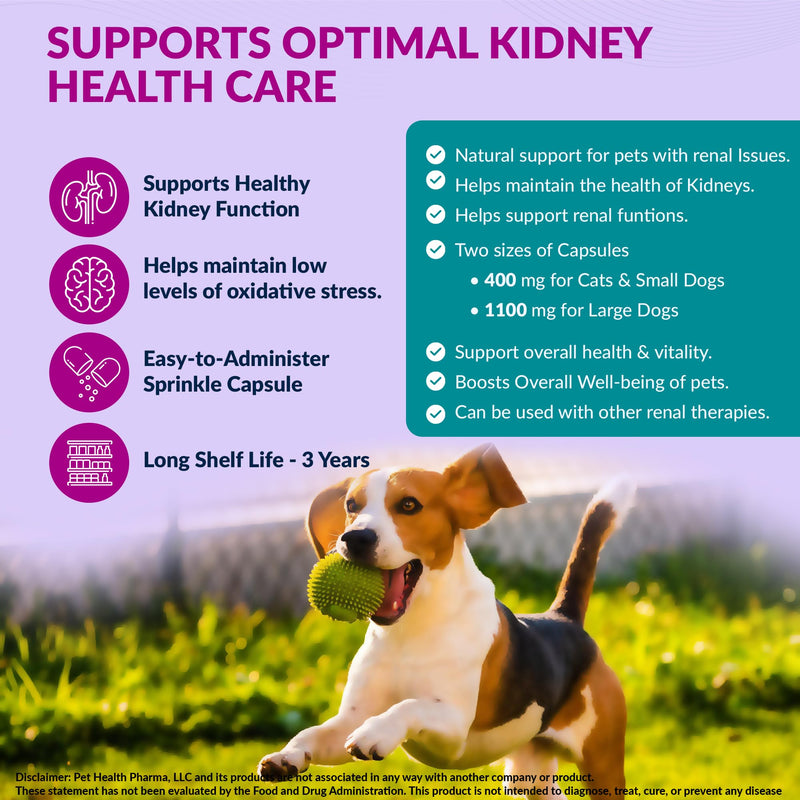Aminodyl™ Kidney Support Supplement 400mg for Cats & Small Dogs - Supports Natural Kidney Function with Amino Vastly Promotes Health, Wellbeing & Vitality of Kidneys - 120 Sprinkle Capsules. U.S.A Cats & Small Dogs <20lbs (120 Caps) 400 mg