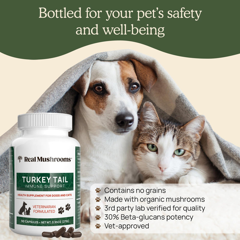 Turkey Tail Pet Support - Dog Multivitamins and Supplements for Immune Support, Gut Health & Wellness - Grain-Free, Gluten-Free, Vet-Approved Dog Supplement (90ct) Turkey Tail Mushrooms Pet