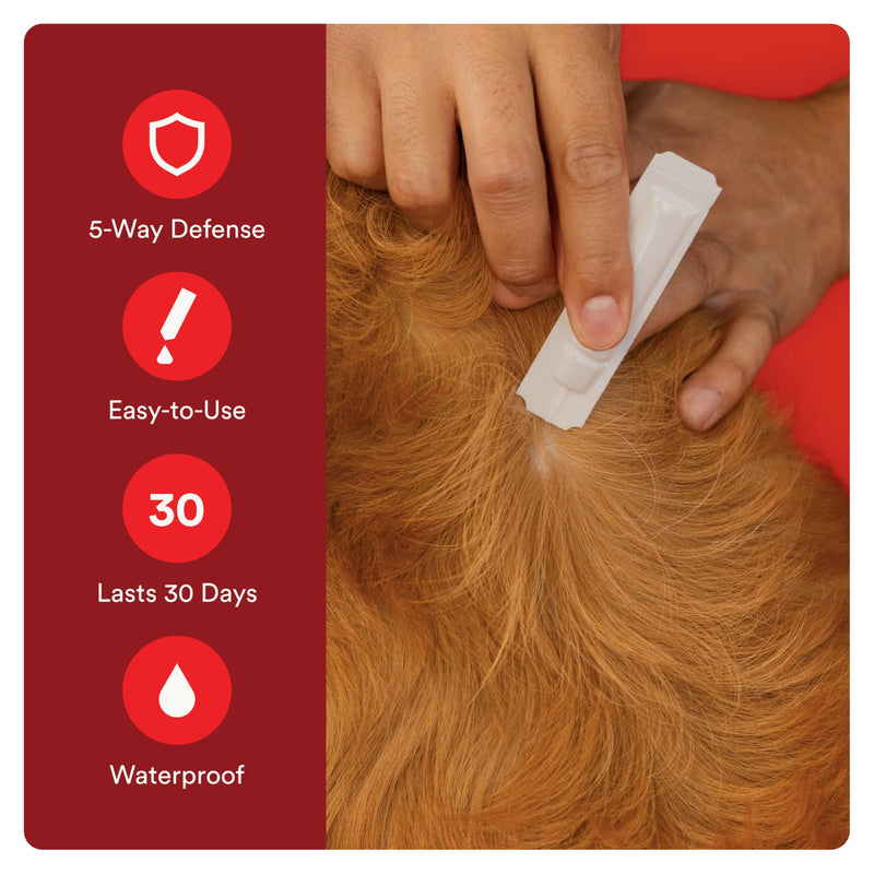 WORM X PLUS 7 Way DeWormer for Small Dogs 6-25 lbs (6 Count) + ADVECTA Flea and Tick Prevention for Small Dogs 4-10 lbs (2 Count) Bundle