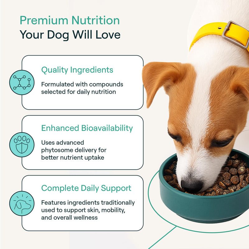 POP-Topper Dog Food Meal Toppers – Multivitamin Powder for Dogs Under 35 lbs - Delicious Bone Broth Base with 6 Human-Grade Superfoods - Supports Joints, Gut, Skin & Coat - 30 Packets Pack of 30