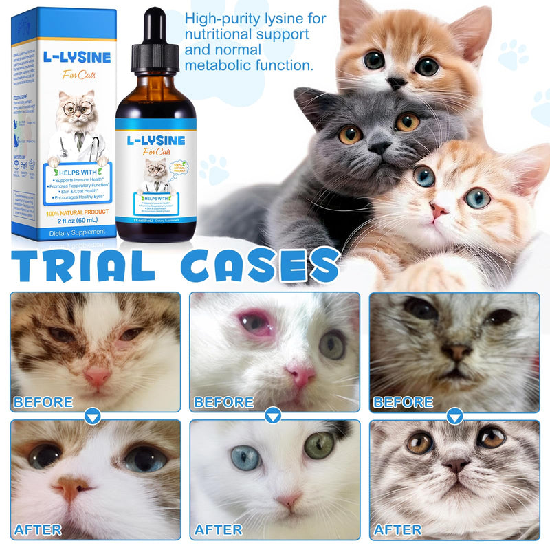 Natural Cat Lysine Drops for Immune Support – L-Lysine Supplement with Astragalus & B Vitamins for Respiratory Health, Tear Stain Relief, Skin & Coat Care – 100% Natural Liquid Drops for Cats(2 fl oz)