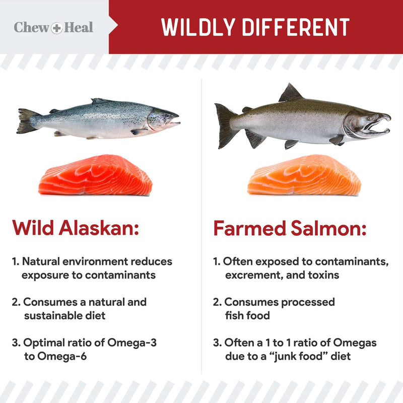 Pure Wild Alaskan Salmon Oil for Dogs - 16 oz. Beef Flavored Salmon Oil - Pump Cap Bottle - Contains Omega-3 and 6, EPA, and DHA for Healthy Skin and Coat - Toxin Free - PawsPlanet Australia