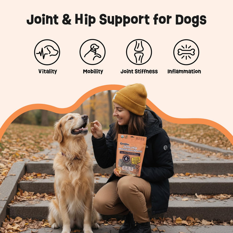 Gruffies Organic Hip & Joint Dog Treats – Natural Joint Supplement for Dogs with Turmeric & Ginger, Healthy Peanut Butter Treats for Mobility, Vet Approved, Non-GMO, Made in Canada, 6 oz (Pack of 1) 6 Ounce (Pack of 1)